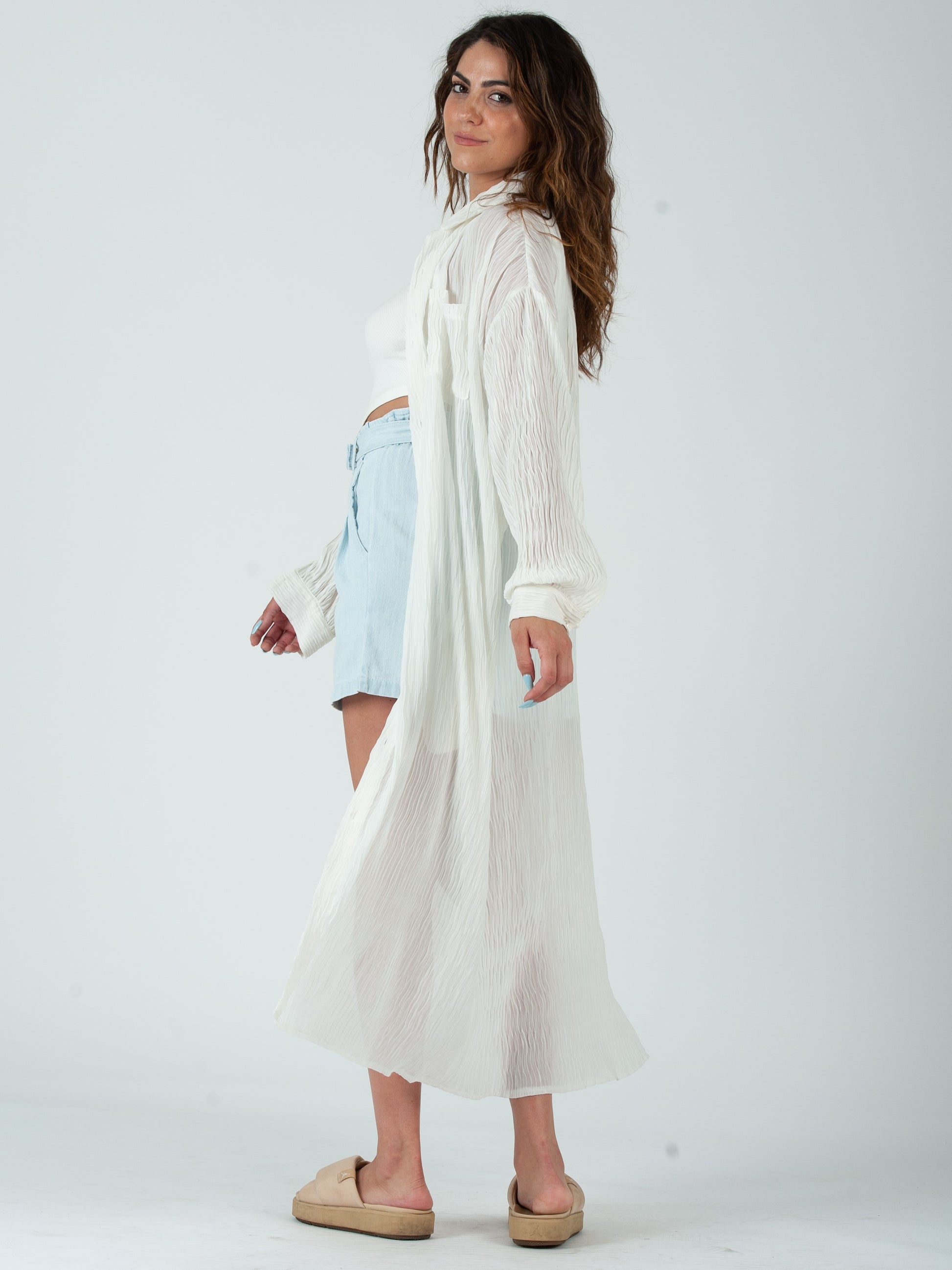 SHEER BUTTON DOWN