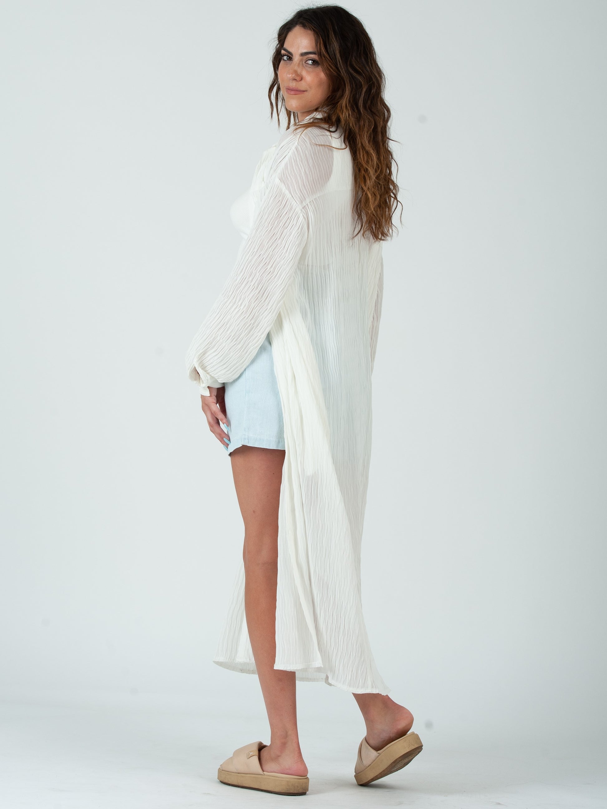 SHEER BUTTON DOWN